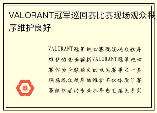 VALORANT冠军巡回赛比赛现场观众秩序维护良好