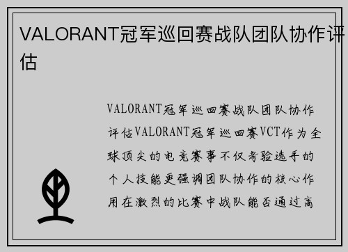 VALORANT冠军巡回赛战队团队协作评估 VALORANT冠军巡回赛战队团队协作评估