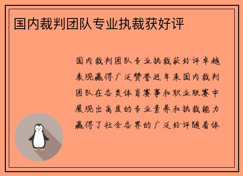 国内裁判团队专业执裁获好评